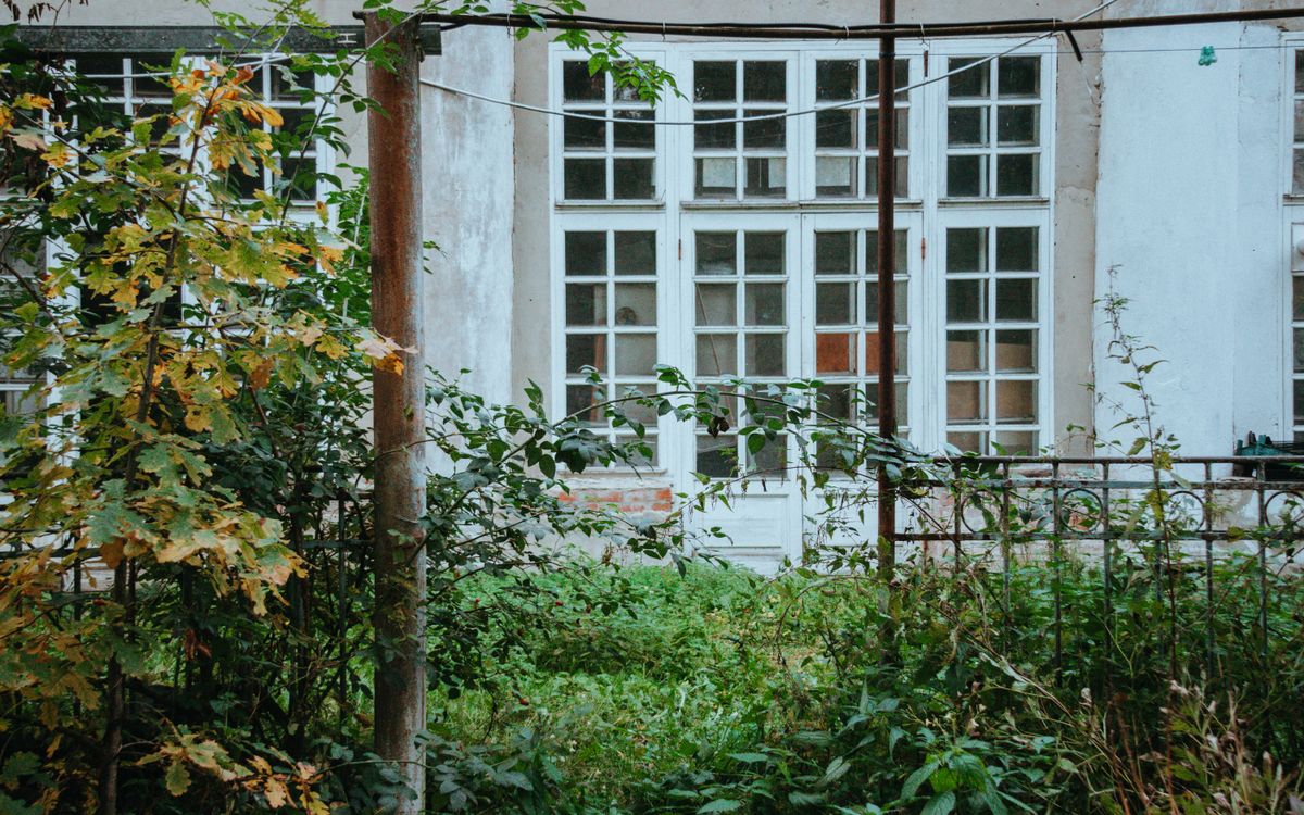 Casa con las ventanas cubiertas por maleza y plantas crecidas sin control