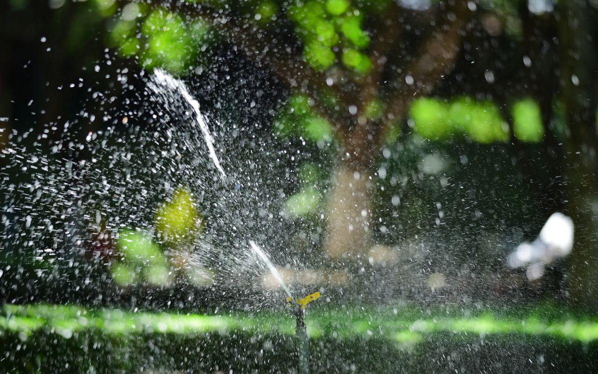 Aspersor de jardín regando una grama verde