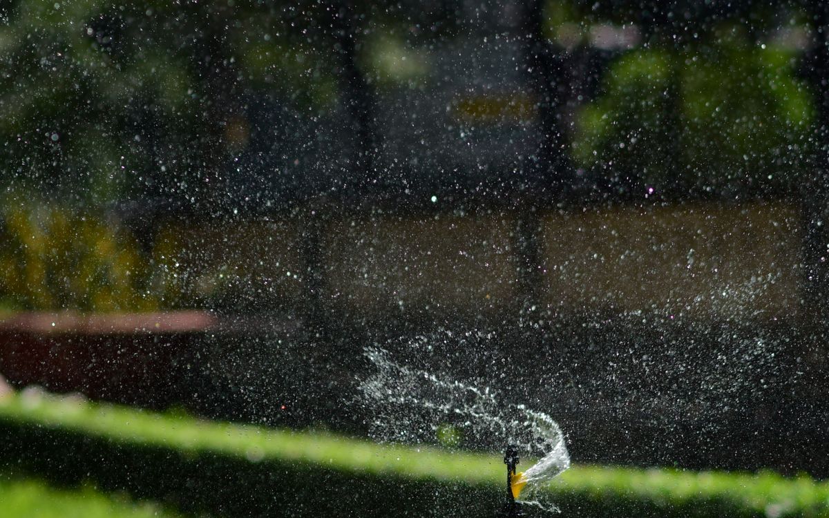 Aspersor regando el jardín con el agua cayendo sobre la grama